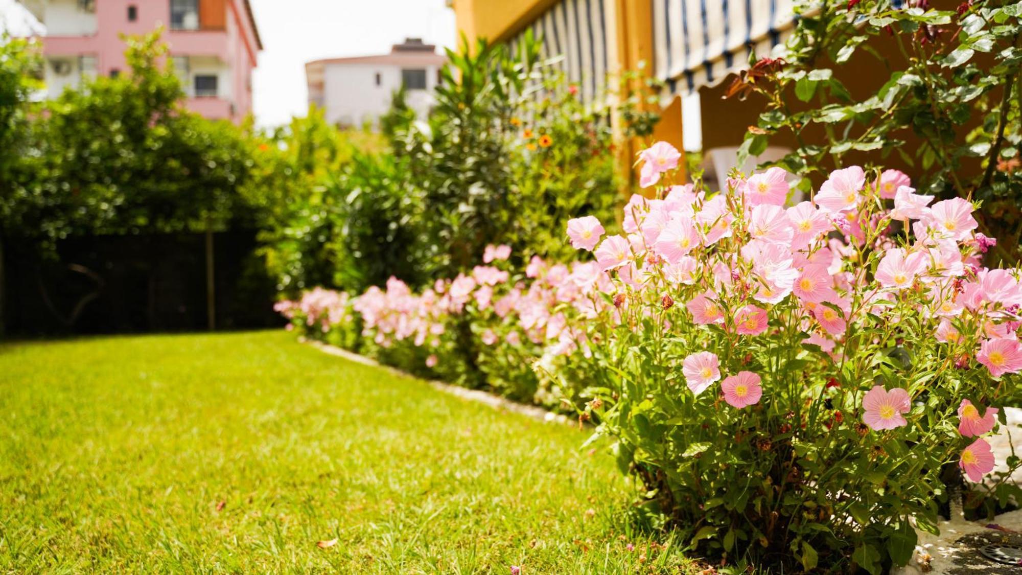Vila Aliaj Luxury Apartment With 2 Rooms With Private Wonderful Terrace Durrës Exterior foto